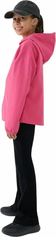 Pamja 6