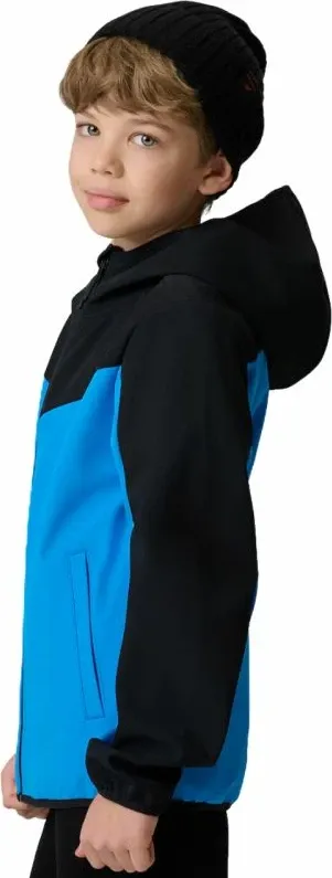 Pamja 4