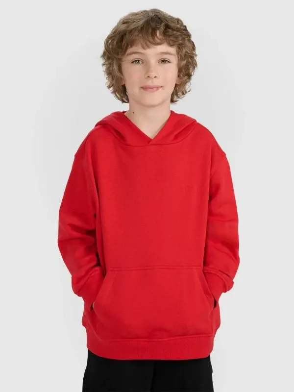 Pamja 1