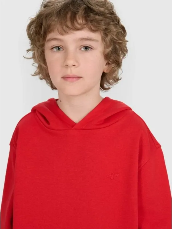 Pamja 3
