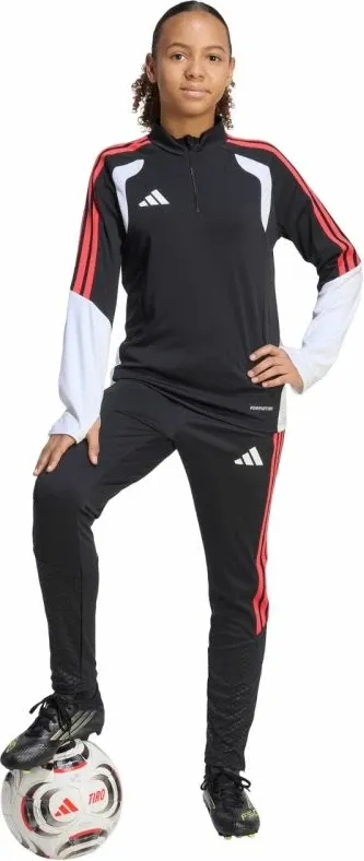 Pamja 6