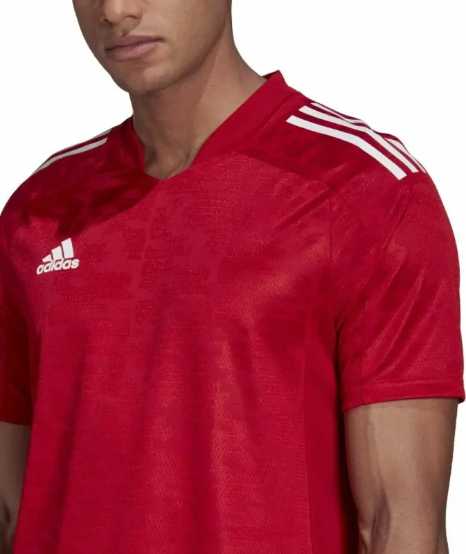 Pamja 3