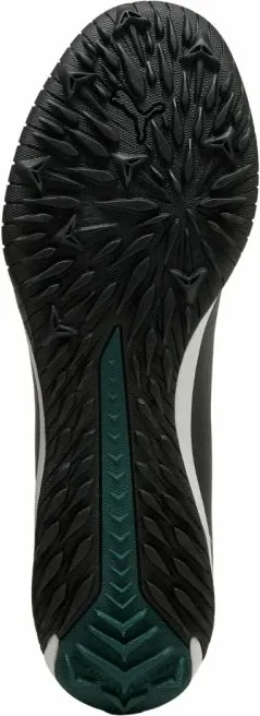 Pamja 6