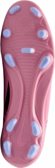 Pamja 6