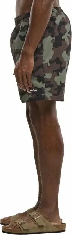 Pamja 3