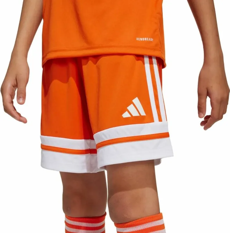 Pamja 4