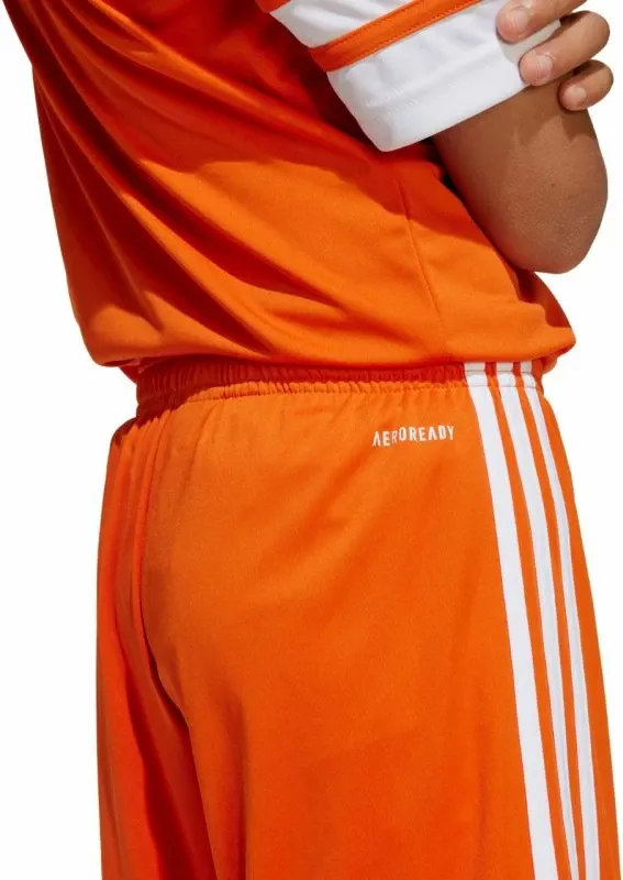Pamja 5