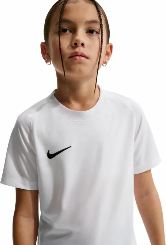 Pamja 11