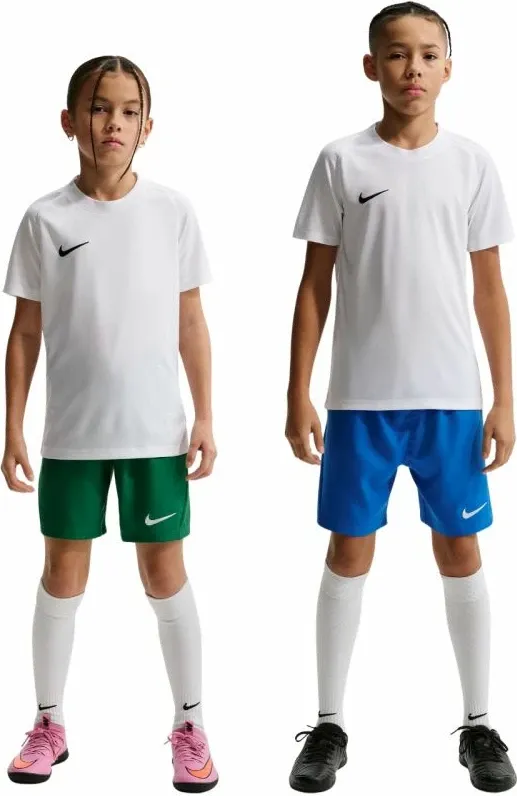 Pamja 14