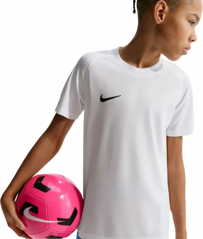 Pamja 10