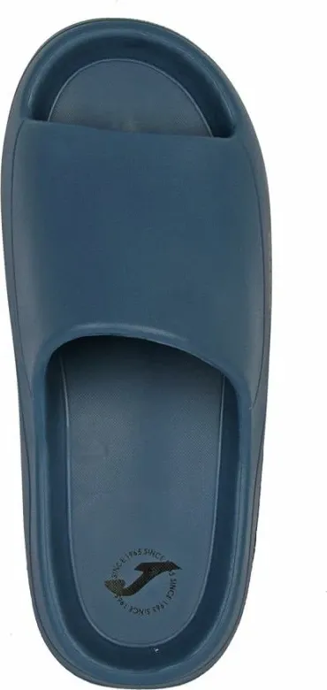 Pamja 4