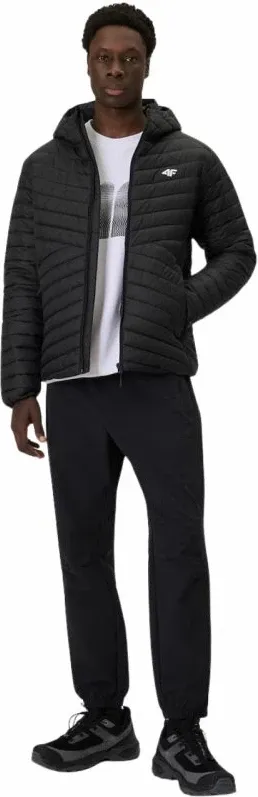 Pamja 8