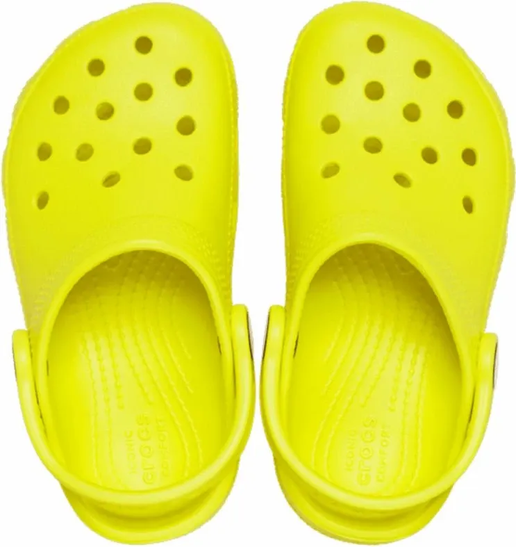 Pamja 6