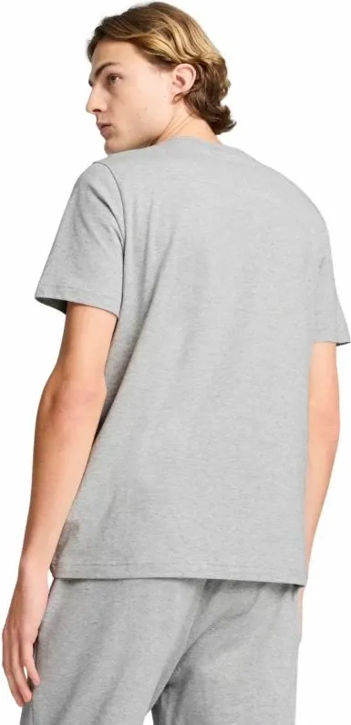 Pamja 4