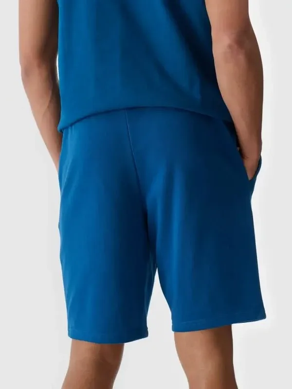 Pamja 3
