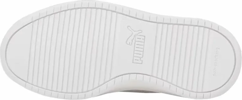 Pamja 4