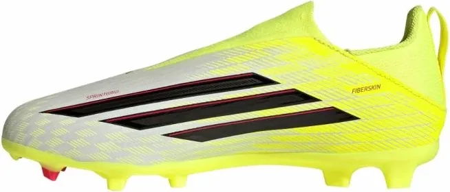 Pamja 11