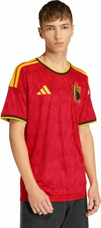 Pamja 1