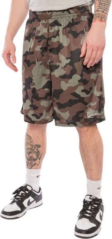 Pamja 2