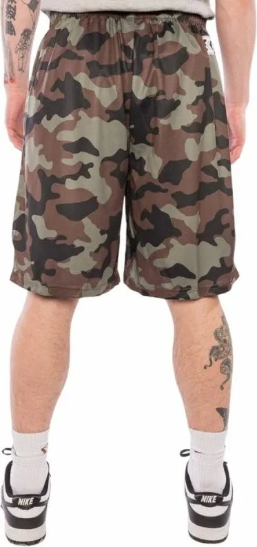 Pamja 4
