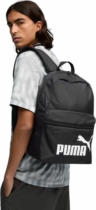 Pamja 1
