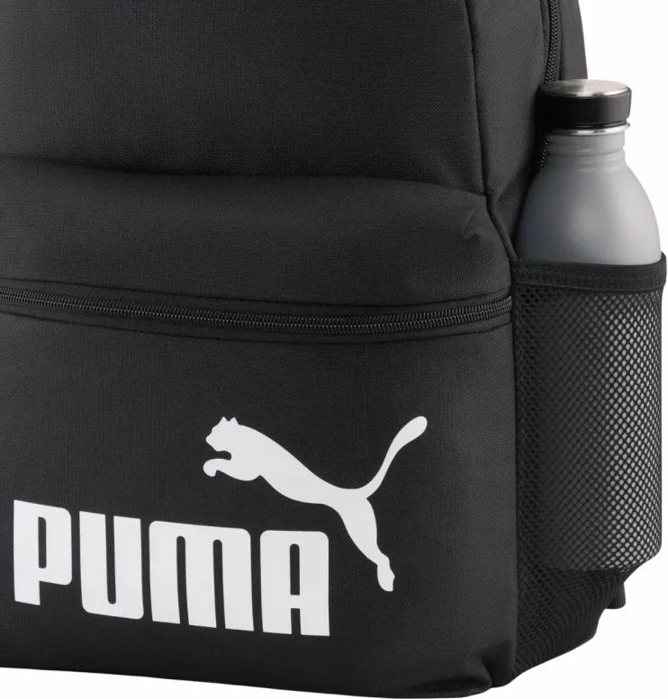 Pamja 4