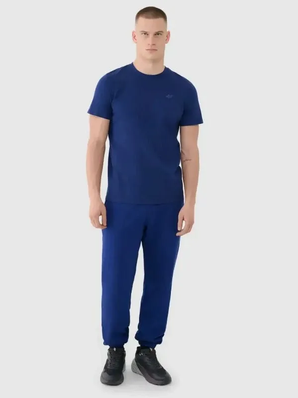 Pamja 4