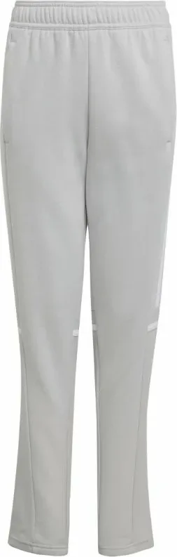 Pamja 1