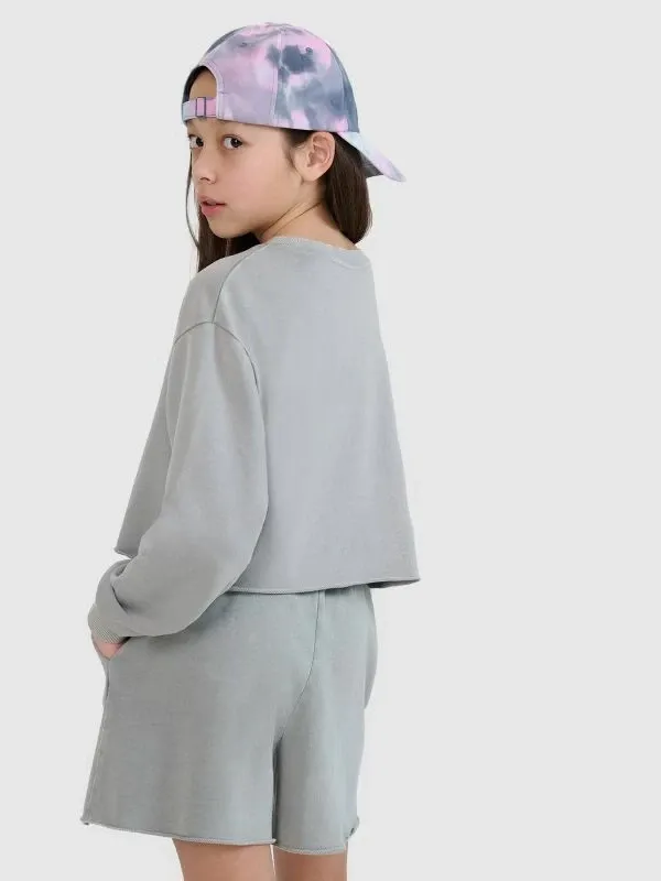 Pamja 4