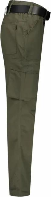 Pamja 3