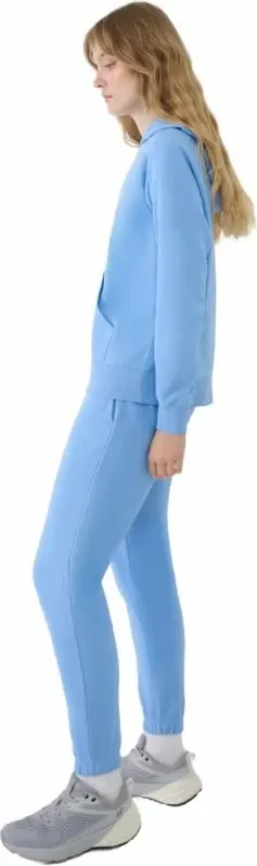 Pamja 4