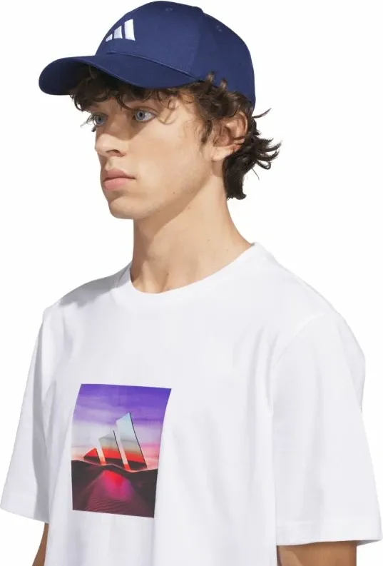 Pamja 4