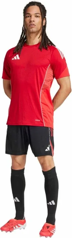Pamja 7