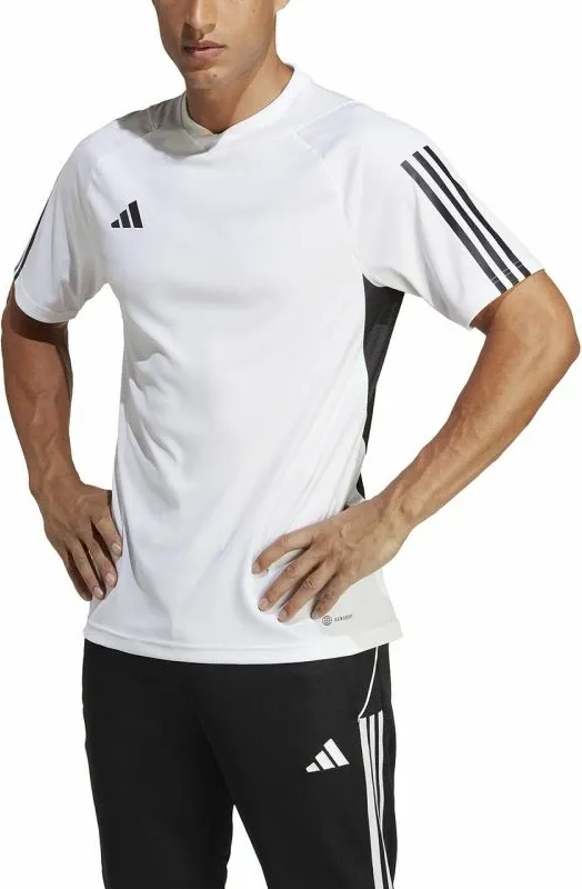 Pamja 4