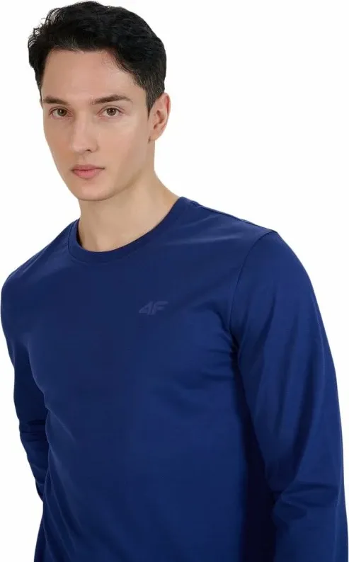 Pamja 4