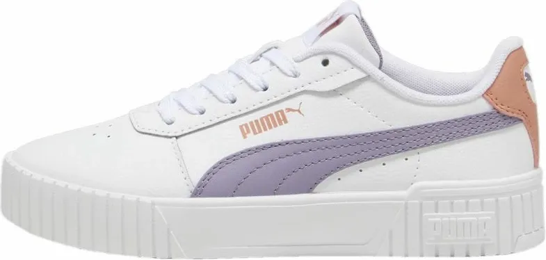 Pamja 5