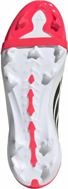 Pamja 6
