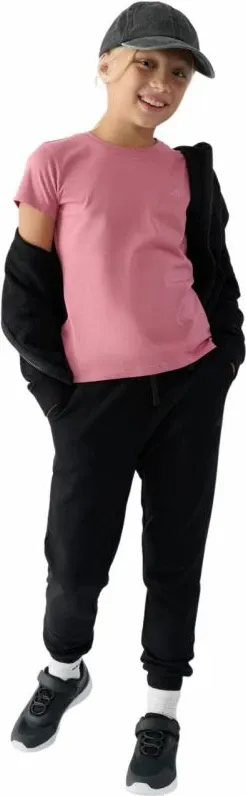 Pamja 3