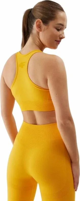 Pamja 2