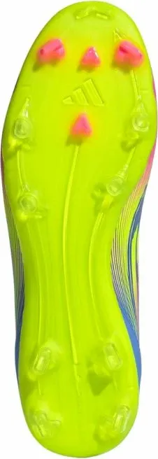 Pamja 6