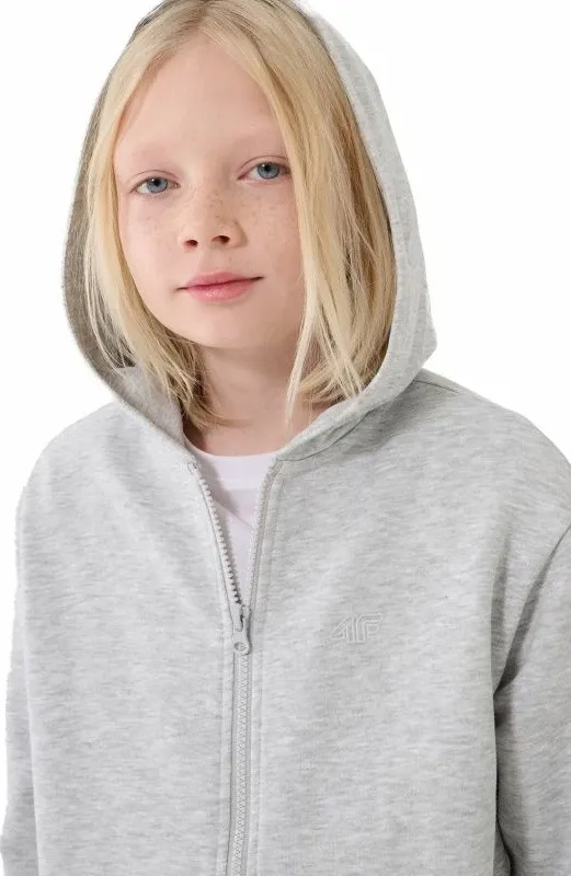 Pamja 2