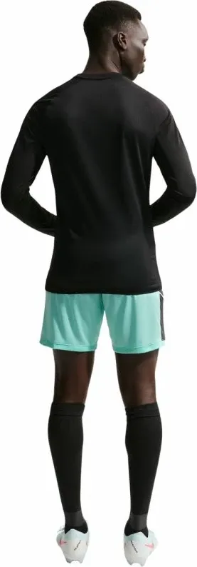Pamja 9