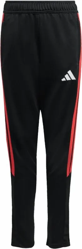 Pamja 2