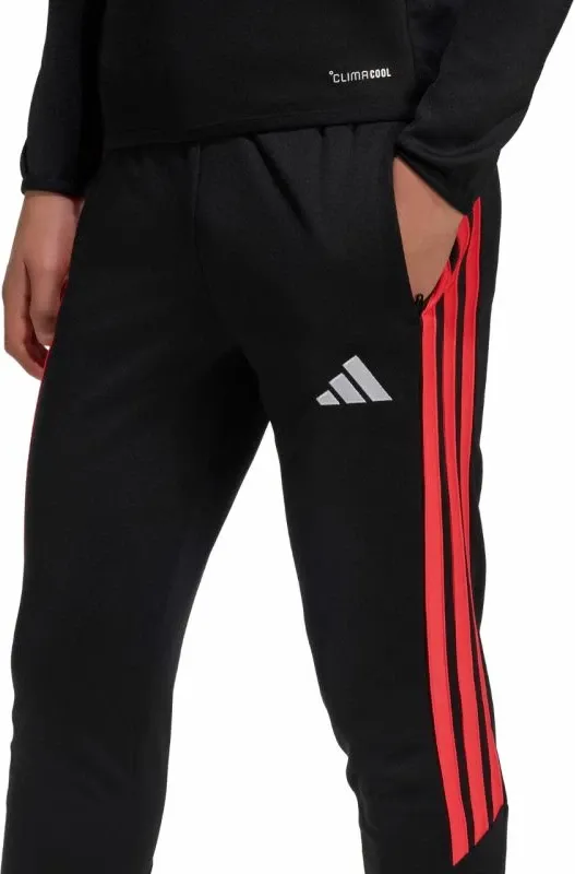 Pamja 4