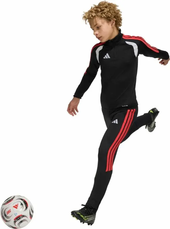 Pamja 6