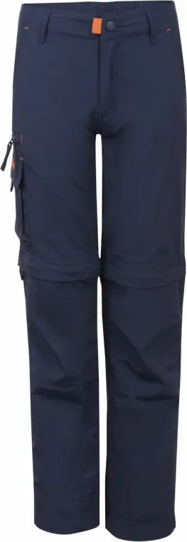 Pamja 1