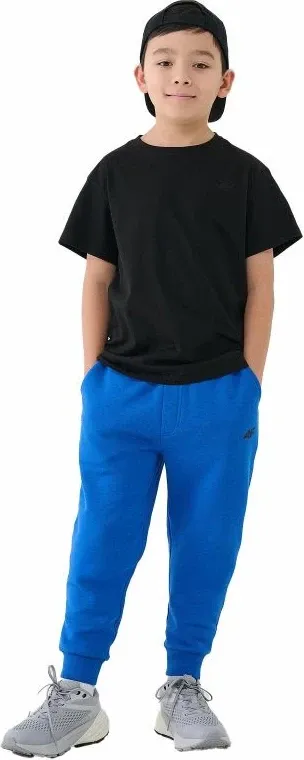 Pamja 3