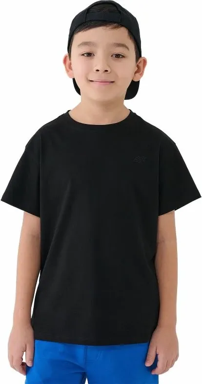 Pamja 2