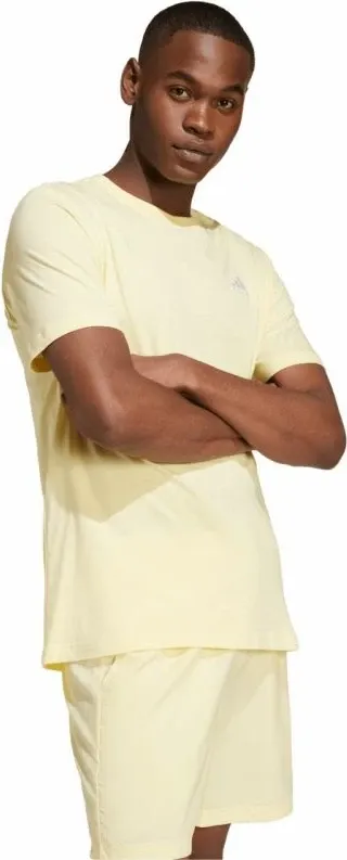 Pamja 4
