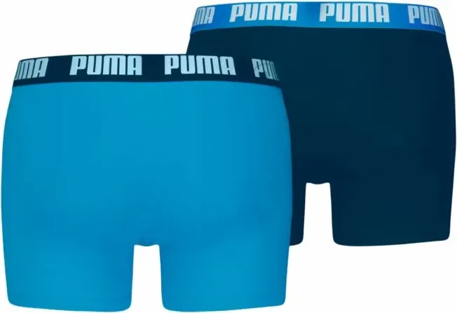 Pamja 2